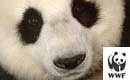 WWF Deutschland
